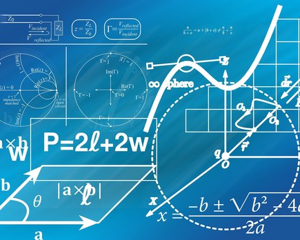 por que se considera a euler rey matematicas