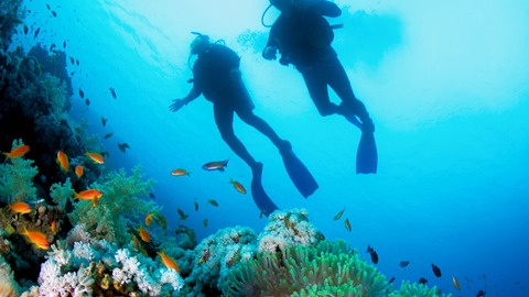 mejores lugares para hacer buceo en el algarve