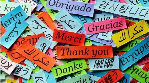essentials words and phrases to survive during your vacations in portugal