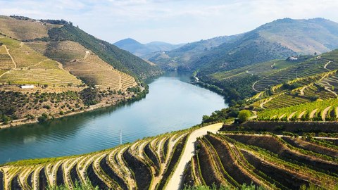 cuales son los rios mas importantes de portugal