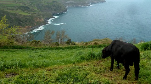 islas de portugal