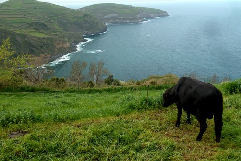 islas de portugal
