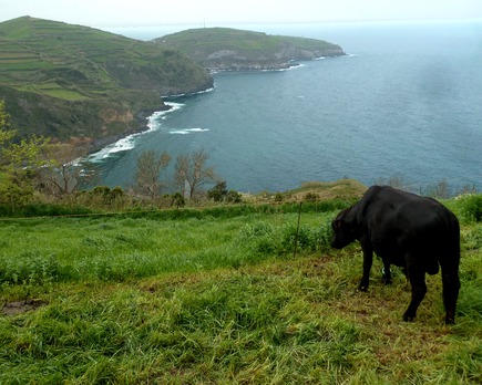 islas de portugal