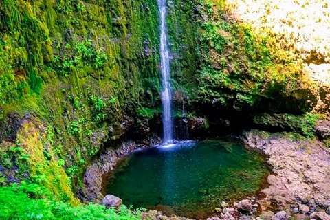 madeira levada caldeirao verde