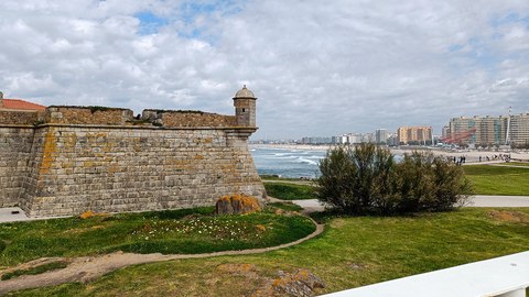 matosinhos