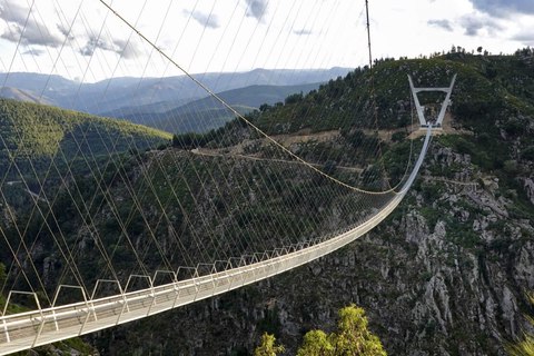 ponte arouca