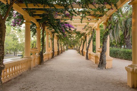 parque dom pedro infante aveiro