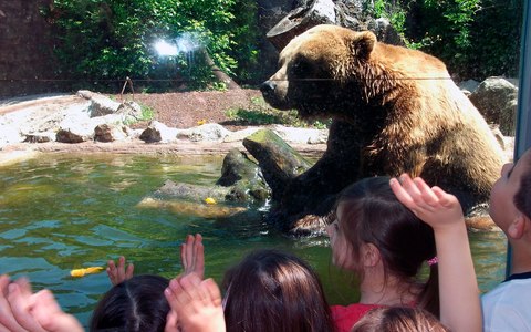 zoo maia