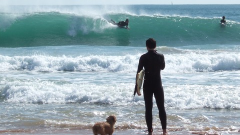 surf camp portugal