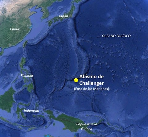 fosa challenger