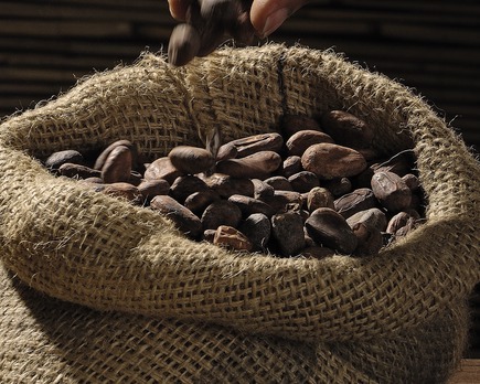¿ qué países exportan más cacao?