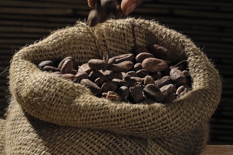 paises que mas cacao exportan