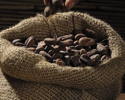 paises que mas cacao exportan