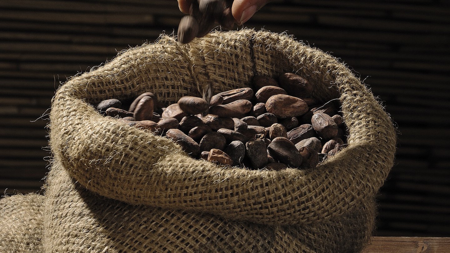 paises que mas cacao exportan
