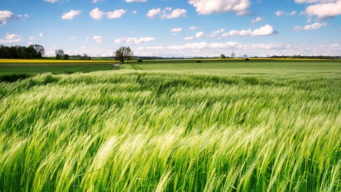 ¿ qué países exportan más comida?