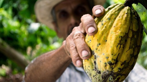 que paises producen mas cacao