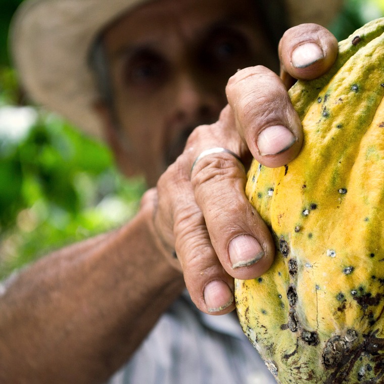 que paises producen mas cacao