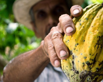 que paises producen mas cacao