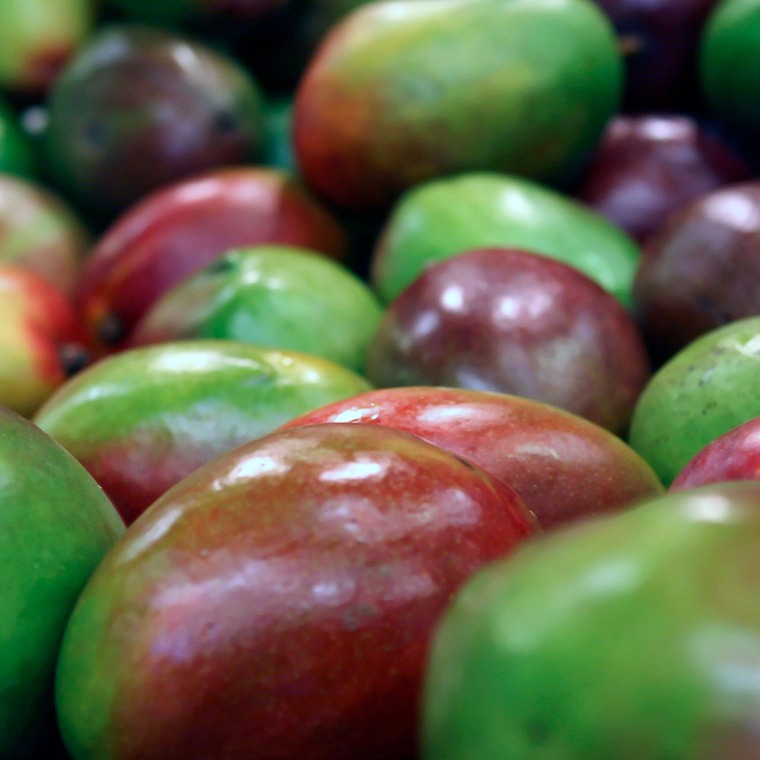 que paises producen mas mango