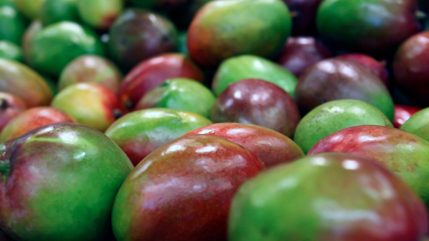que paises producen mas mango