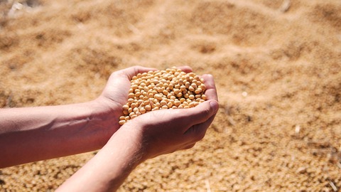 ¿ qué países producen más soja?