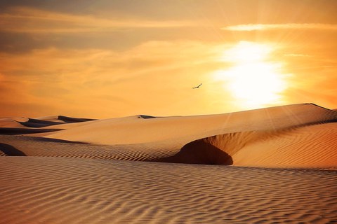 que paises tienen desiertos