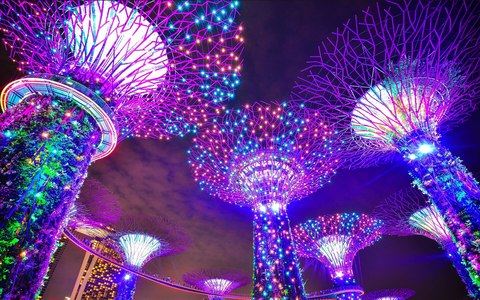 gardens by the bay singapur noche