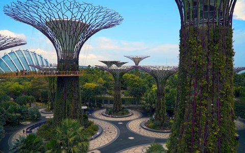 gardens by the bay singapur