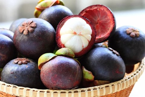 mangostan
