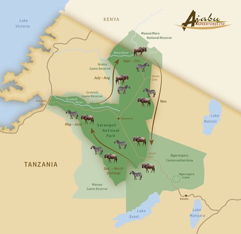 parque nacional serengueti migracion